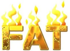 Chiropractic Goleta CA Burning Fat The word "Fat" with flames coming off of it, symbolizing burning fat